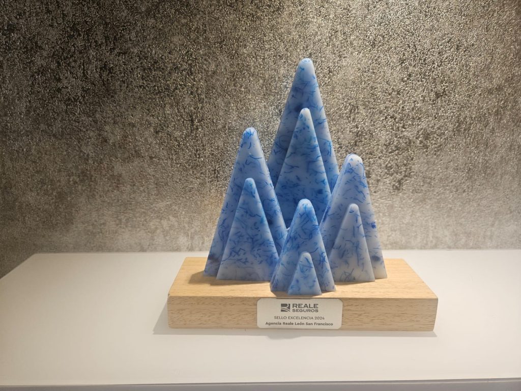 Premio a la Excelencia 2024